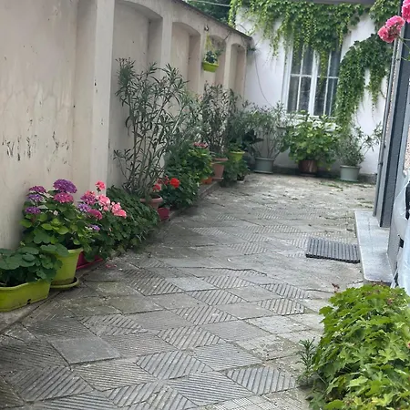 Apartment Nataly New Luxury On Black Sea *