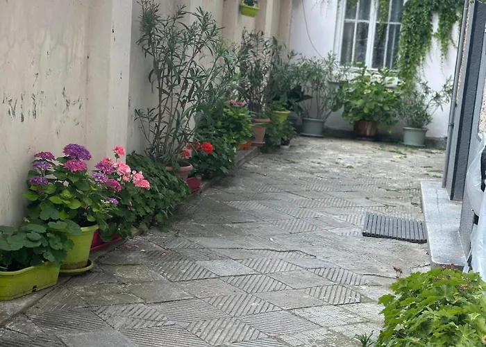 Apartment Nataly New Luxury On Black Sea *